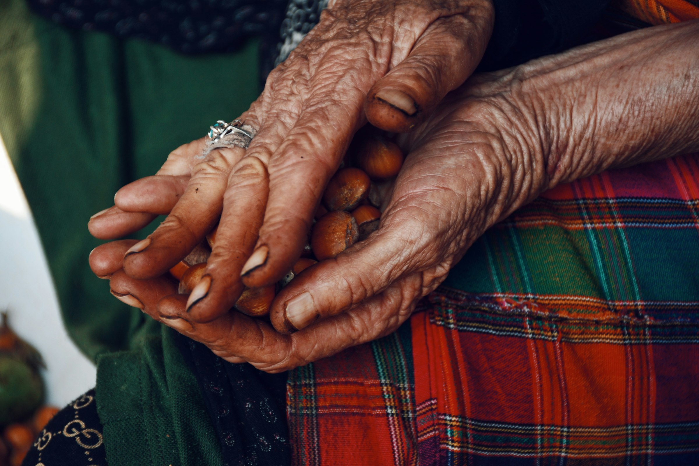 Close-up of an elderly woman's weathered, ringed hands cupping hazelnuts against a traditional plaid fabric, Iran