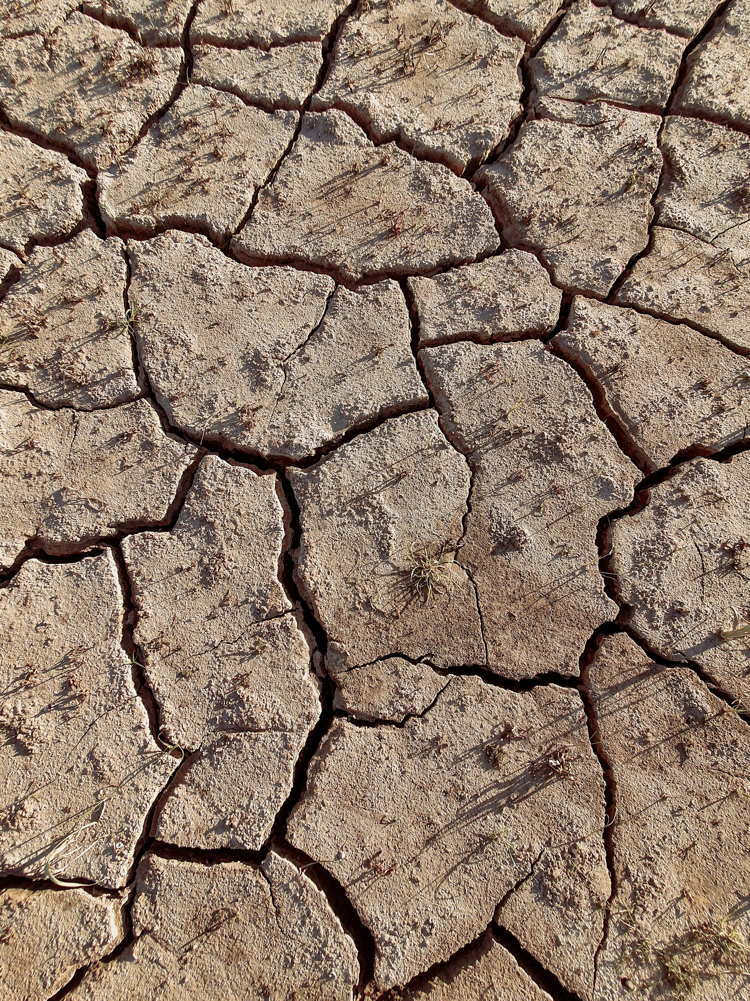 Close-up of cracked, drought-parched earth, Buenos Aires Province, Argentina