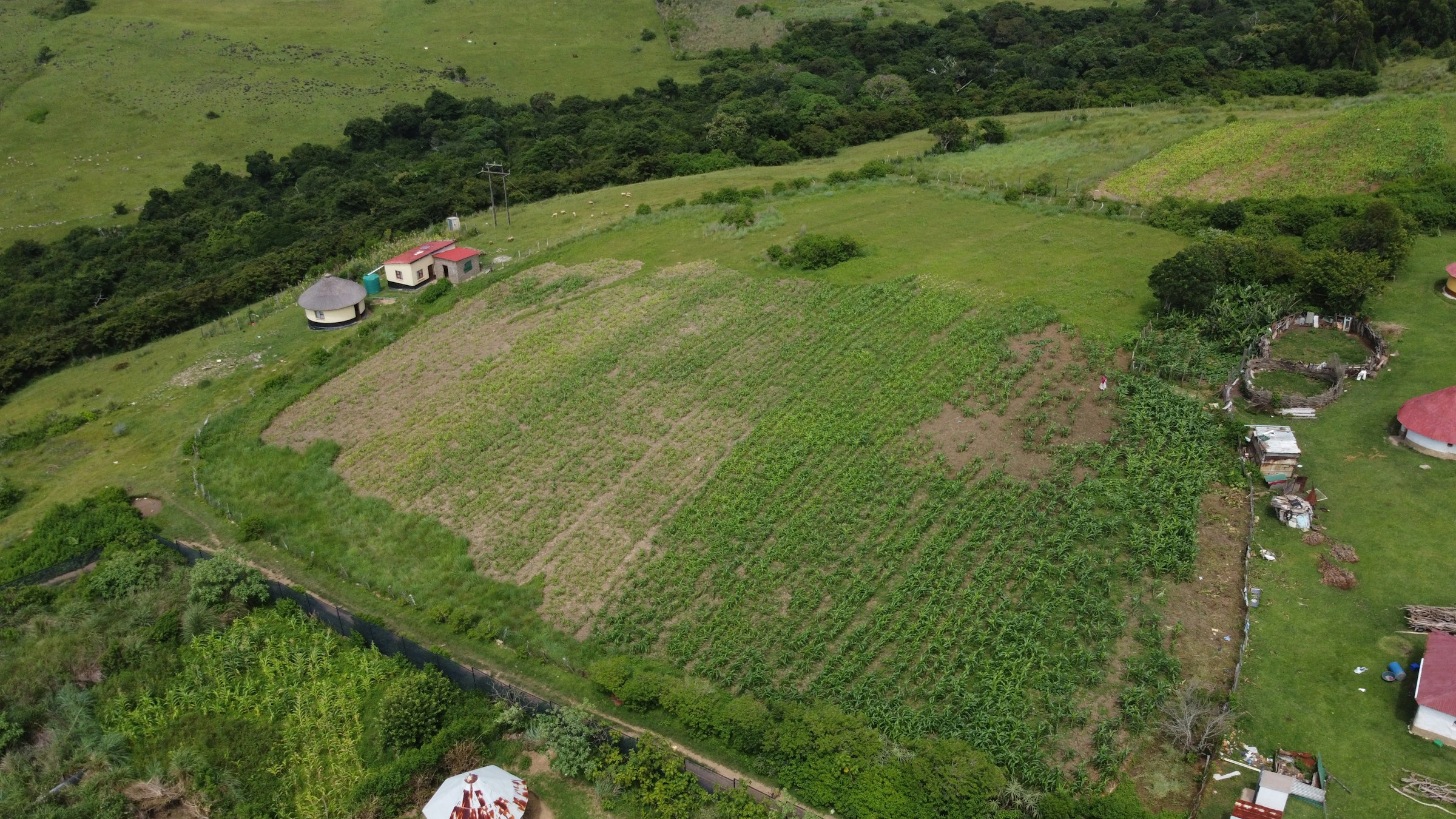 Aerial view of a rural community and farmland at golden hour