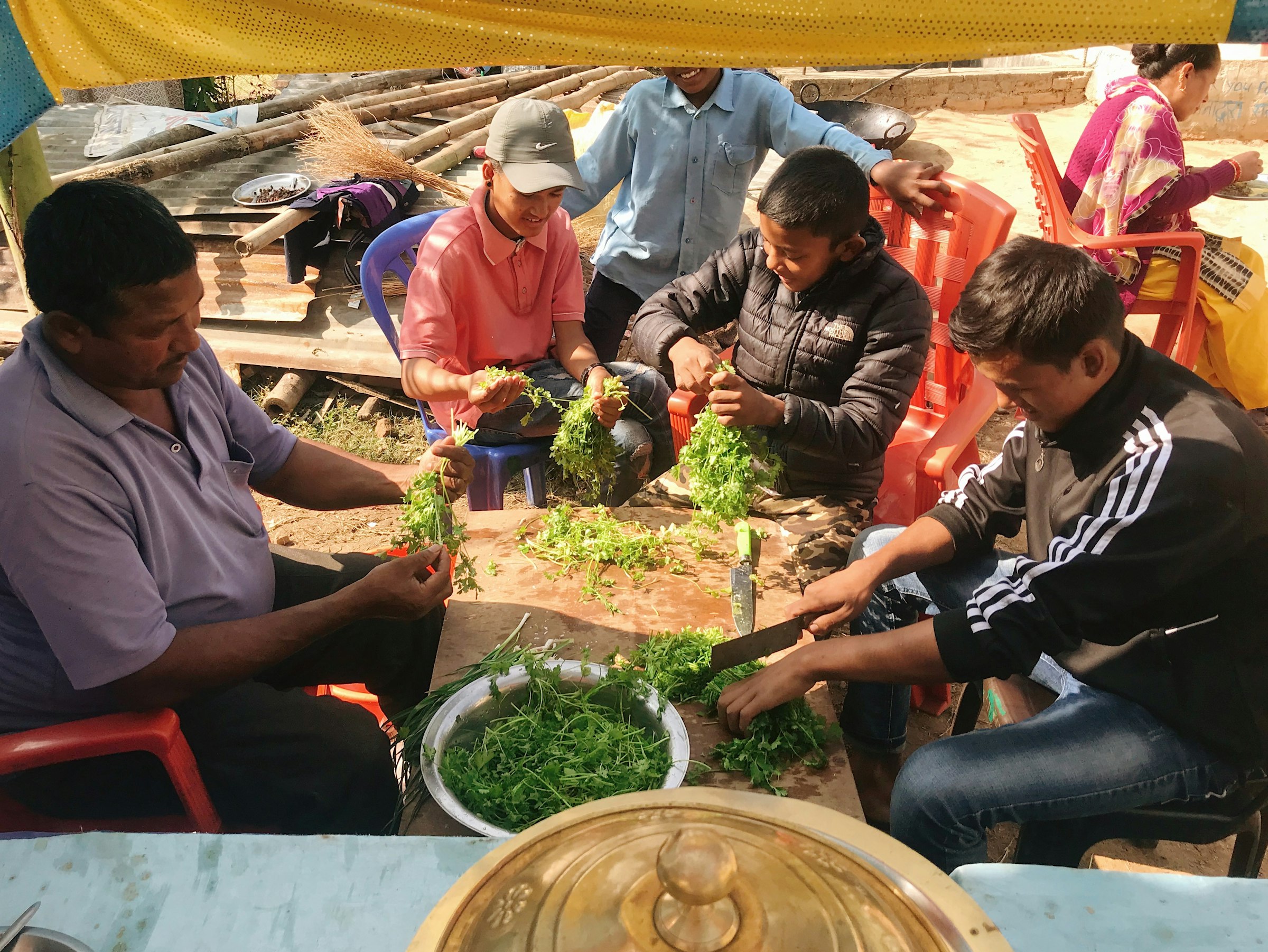 Close-up of hands preparing fresh vegetables outdoors in Surkhet, Nepal